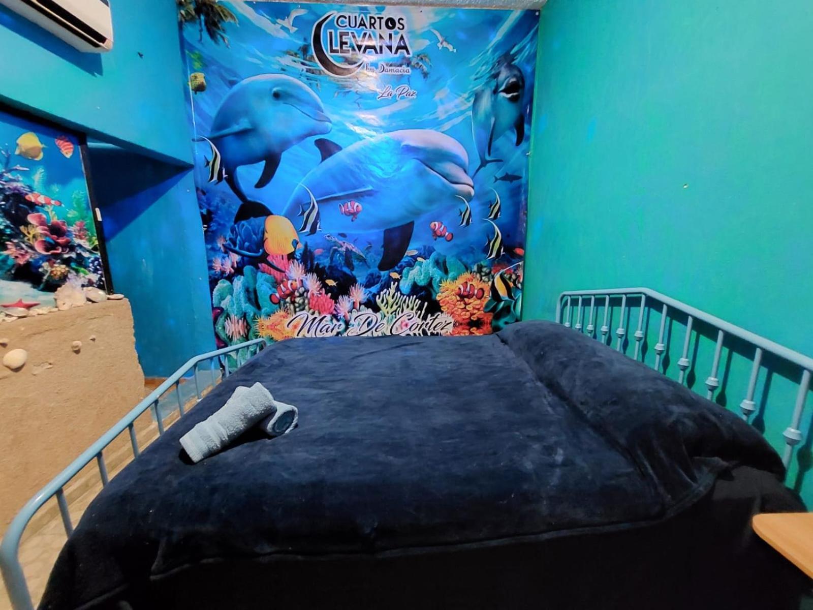 Cuartos Levana La Paz Apartment Ngoại thất bức ảnh